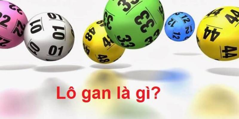 Lô gan Zowin là gì?